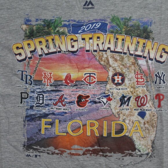 Majestic Men Gray Tee Shirt MLB Spring Training Casual Size Medium - Picture 7 of 10
